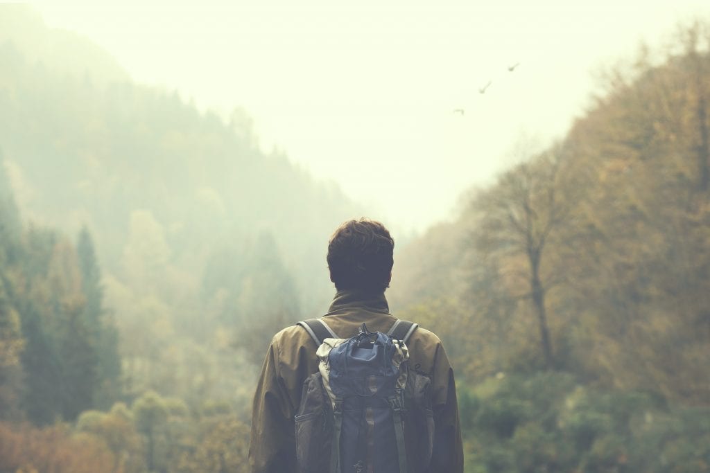 A hiker is walking in a forest. The leaves of the trees are fall colored and the weather is foggy.