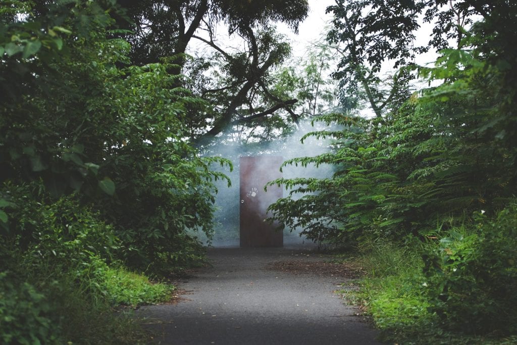A door standing on a trail surrounded by green trees and bushes. the door is surrounded by fog.