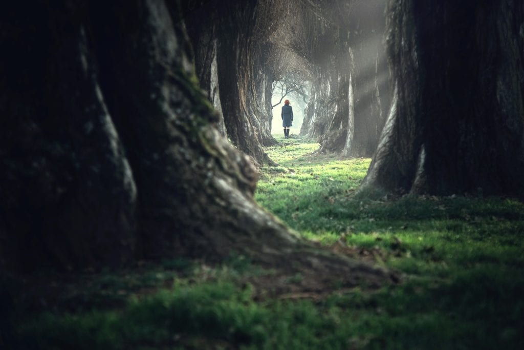 A woman walking through a tree lined path. Sunlight is shining through the trees.