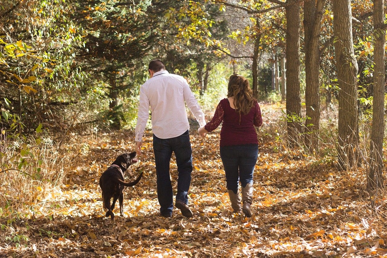 Image of a man & woman walking with a Black dog on a leaf covered path in the woods