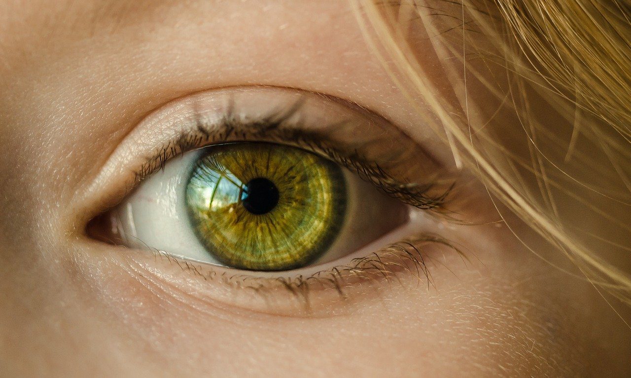 Close up of green eye